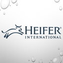 Heifer International